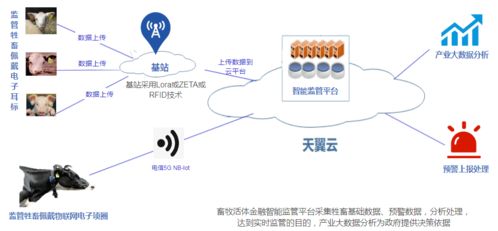 天翼終端展 智慧農(nóng)業(yè)產(chǎn)業(yè)園的物聯(lián)網(wǎng)技術(shù)服務(wù)新圖景